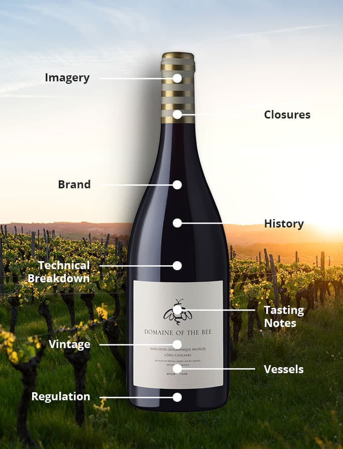 Wine datapoints