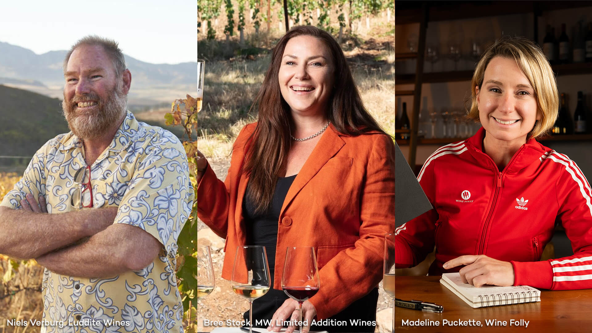 From left to right: Niels Verburg from Luddite Wines, Bree Stock from Limited Addition Wines, and Madeline Puckette from Wine Folly.