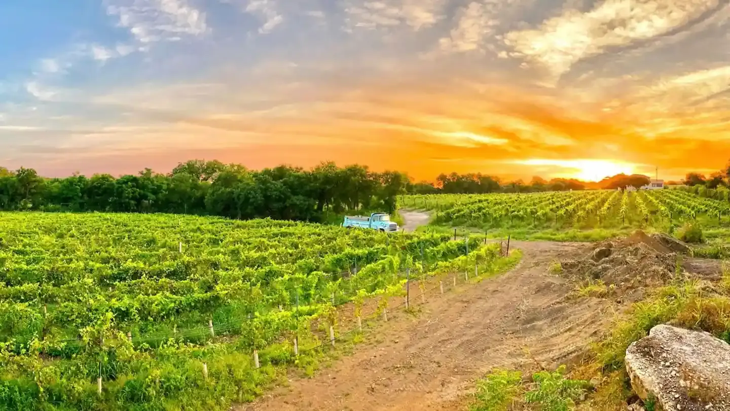 Sunset over Carter Creek Winery in Texas Hill Country